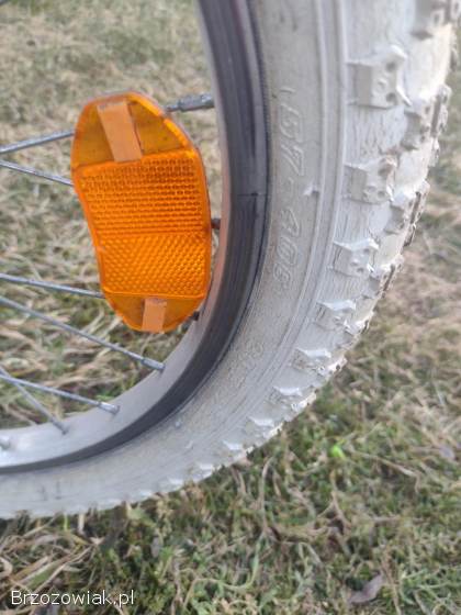 Rower 20 dla dziewczynki