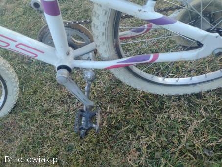 Rower 20 dla dziewczynki