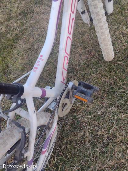 Rower 20 dla dziewczynki