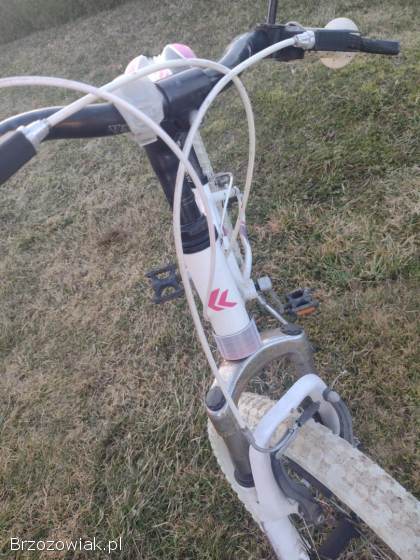 Rower 20 dla dziewczynki