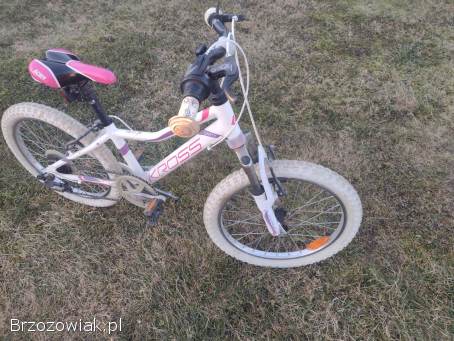 Rower 20 dla dziewczynki