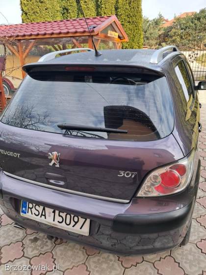 Peugeot 307 Xt 2001