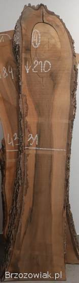 DESKI FOSZTY FOSZT Deska Monolit Orzech Włoski