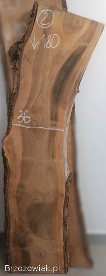 DESKI FOSZTY FOSZT Deska Monolit Orzech Włoski