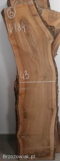 DESKI FOSZTY FOSZT Deska Monolit Orzech Włoski