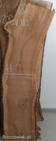 DESKI FOSZTY FOSZT Deska Monolit Orzech Włoski