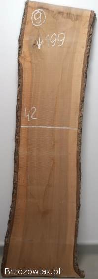 DESKI FOSZTY FOSZT Deska Monolit Orzech Włoski