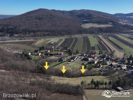 Działka rolna w atrakcyjnej cenie,  Dębna gm.  Sanok