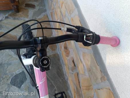 Rower rowerek dla dziewczynki