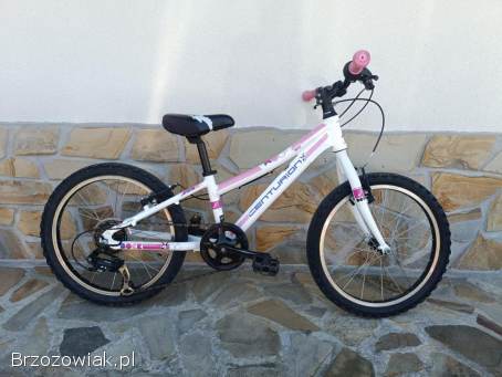 Rower rowerek dla dziewczynki
