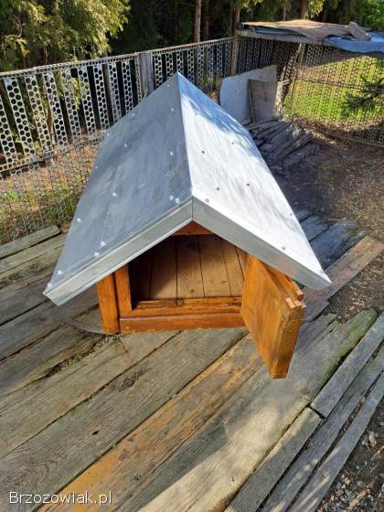 Buda dla psa