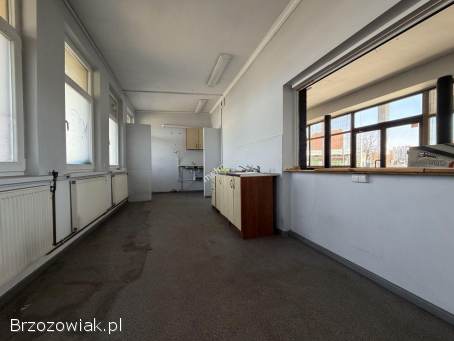 Lokal do wynajęcia w centralnej części Krosna