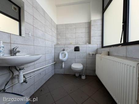 Lokal do wynajęcia w centralnej części Krosna