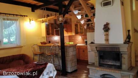 DOMEK LETNISKOWY DO WYNAJĘCIA-BIESZCZADY