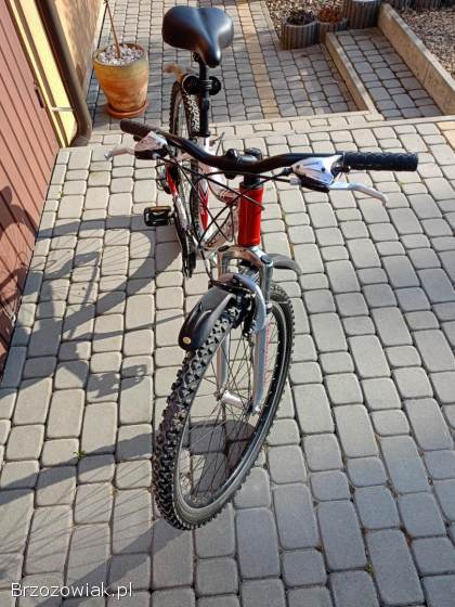 Rower Młodzieżowy