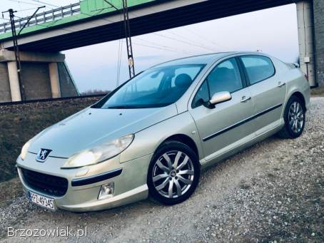 Peugeot 407 SV SPORT / 2.  2!   2004