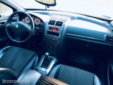 Peugeot 407 SV SPORT / 2.  2!   2004