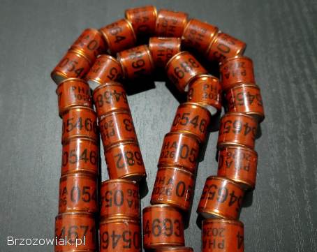 Obrączki dla gołębi