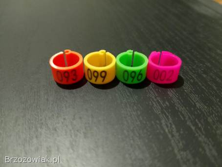 Obrączki dla gołębi