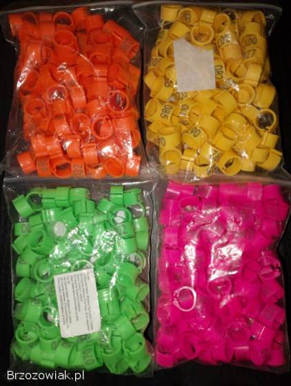 Obrączki dla gołębi