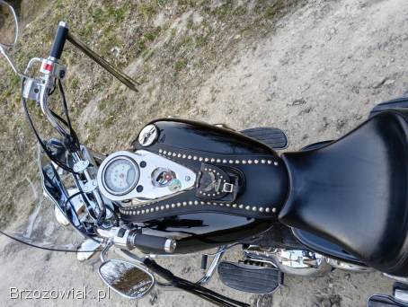 Kawasaki Vulcan 2000 2006