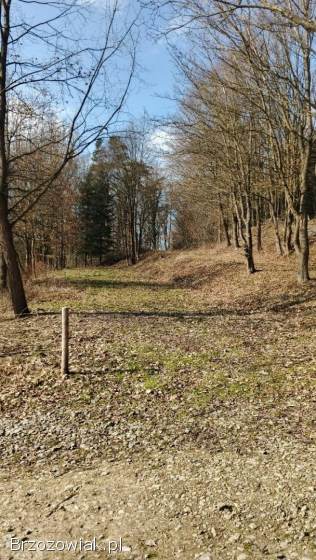 Działka Turze Pole 18a rekreacyjna