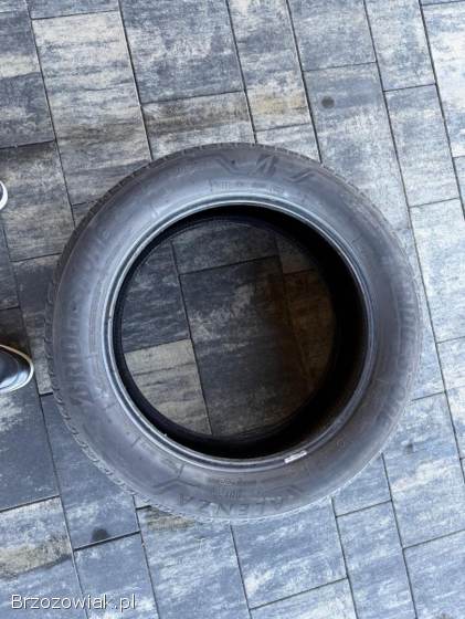 Opony letnie Bridgestone Alenza 001
