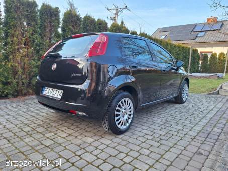 Fiat Punto Zarejestrowany 2013