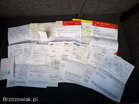 Fiat Punto Zarejestrowany 2013