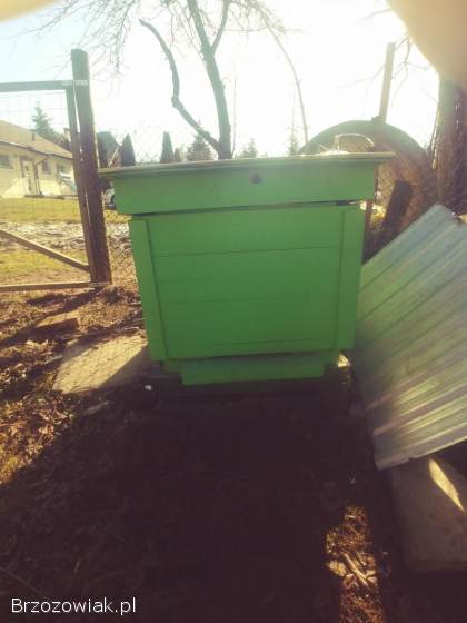 Wielkopolskie ule pszczoly