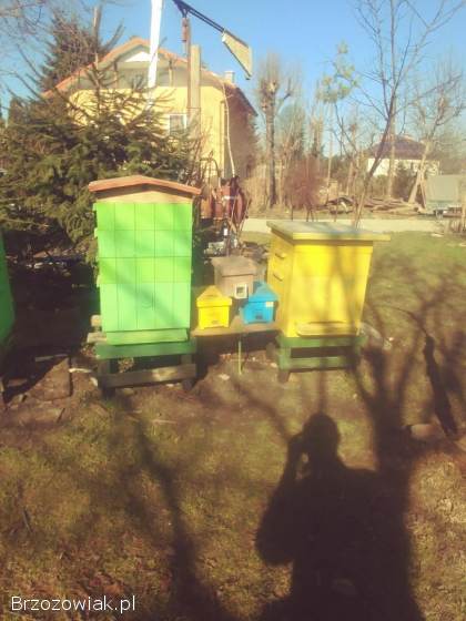 Wielkopolskie ule pszczoly