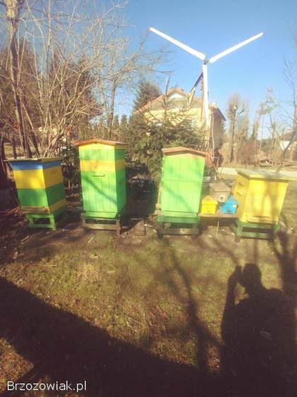 Wielkopolskie ule pszczoly