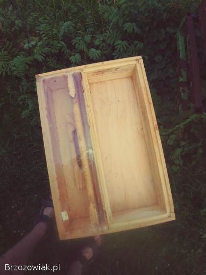 Wielkopolskie ule pszczoly