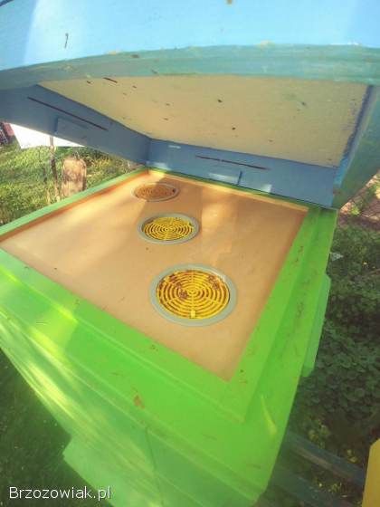 Wielkopolskie ule pszczoly