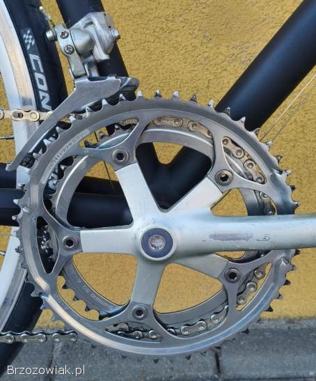 Rower szosowy FOCUS ROADIE ONE Shimano 105