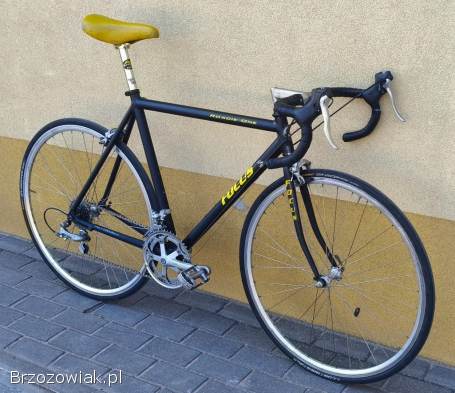 Rower szosowy FOCUS ROADIE ONE Shimano 105