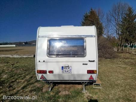 Niewiadow N126n