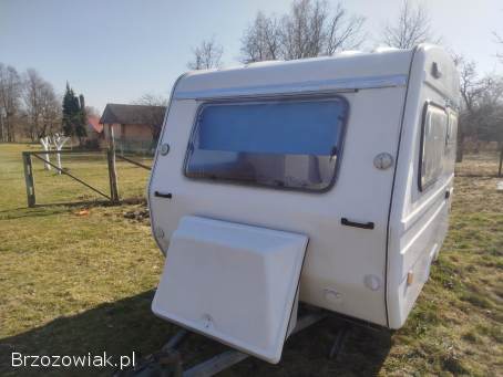 Niewiadow N126n