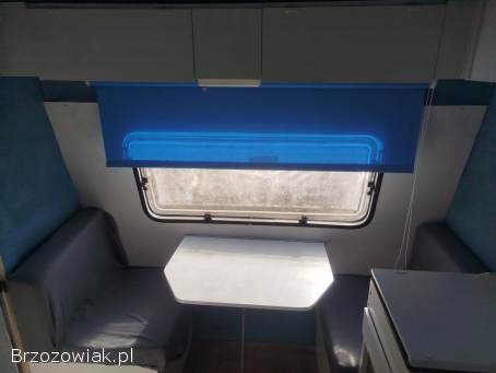 Niewiadow N126n