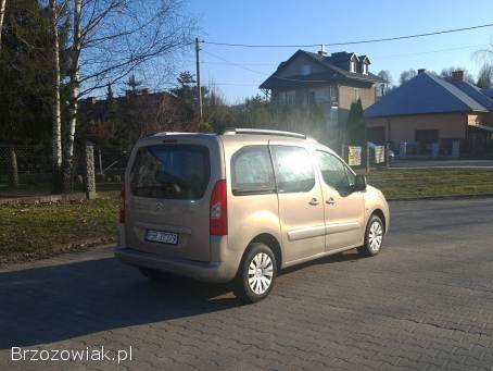 Citroën Berlingo 2010