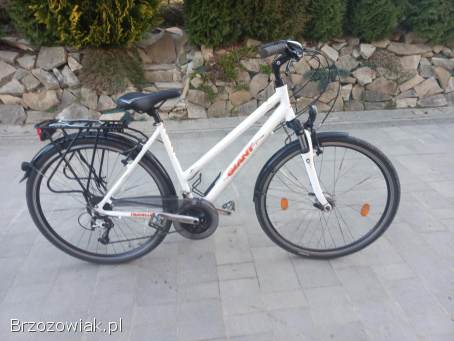 Rower damski giant 28