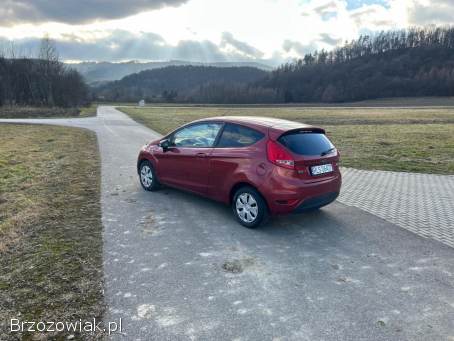 Ford Fiesta 2010