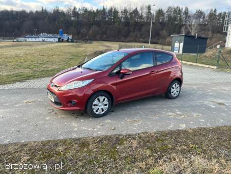 Ford Fiesta 2010