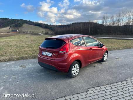 Ford Fiesta 2010