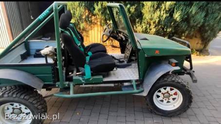 Buggy 4x4 1.  9D