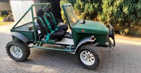 Buggy 4x4 1.  9D