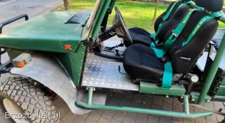 Buggy 4x4 1.  9D