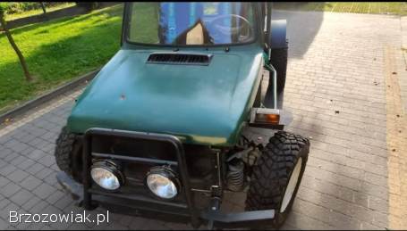 Buggy 4x4 1.  9D