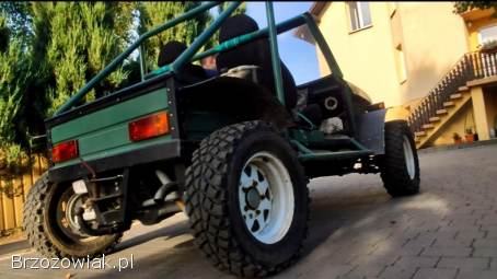 Buggy 4x4 1.  9D