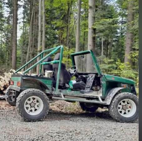 Buggy 4x4 1.  9D